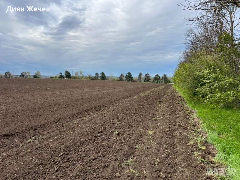 Земеделска земя до Цимерман, снимка 1