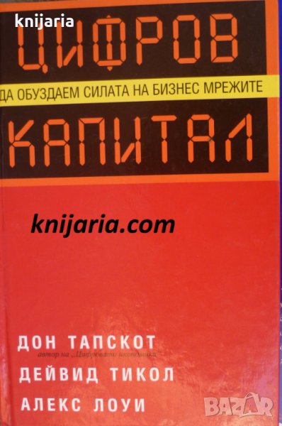 Цифров капитал: Да обуздаем силата на бизнес мрежите, снимка 1