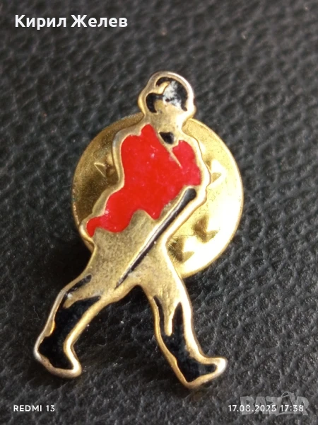 Рядка значка много красива интересна стара за КОЛЕКЦИЯ ДЕКОРАЦИЯ 35129, снимка 1
