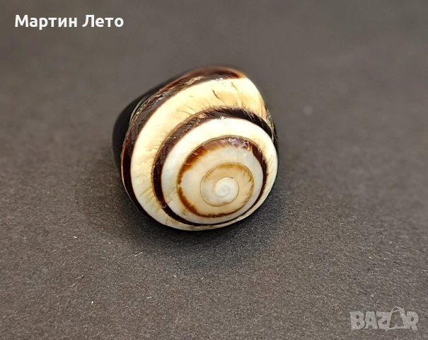 Пръстен от естествен рапан. Уникален!, снимка 5 - Пръстени - 53375542