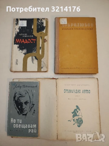 Отминало лято - Петър Абел, Пал Прукнер, снимка 2 - Художествена литература - 50986136