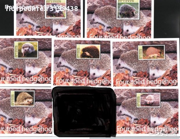 Чисти блокове неперфорирани Фауна Таралежи 2001 от Конго (Киншаса) , снимка 1