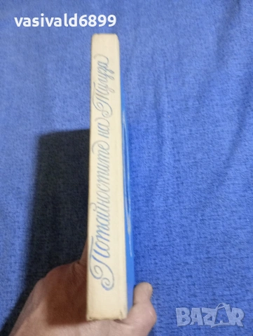 Пиер Гамара - Потайностите на Тулуза , снимка 3 - Художествена литература - 53965834