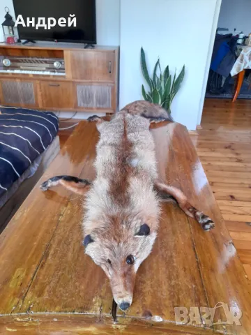 Стара кожа,яка от лисица