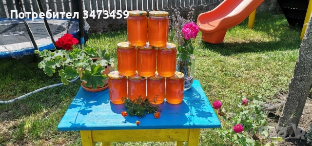 Био пчелен мед от производител 