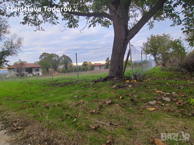 Имот с къща в с. Бързица, общ. Провадия, снимка 3 - Къщи - 52953368