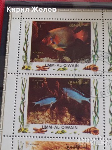 Пощенски марки серия ТРОПИЧЕСКИ РИБИ поща Кувейт много красиви за КОЛЕКЦИЯ 37884, снимка 4 - Филателия - 40476436