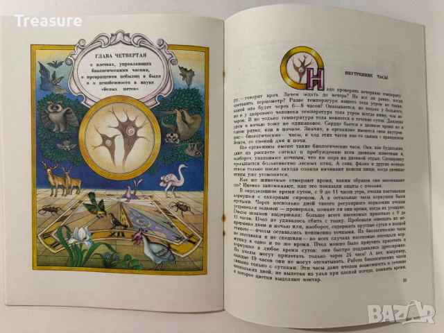 Увиденное невидимое - М. Аспиз, снимка 13 - Енциклопедии, справочници - 48752633