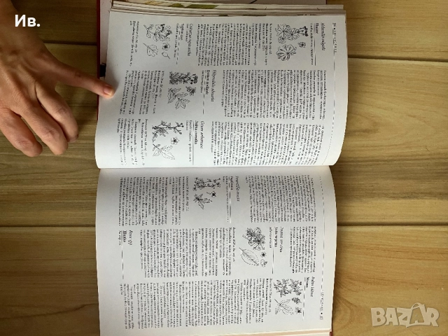 Книга за билките, снимка 3 - Енциклопедии, справочници - 52339729