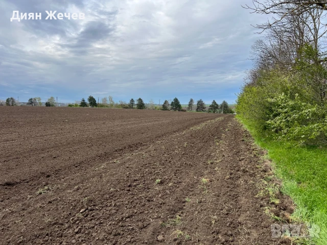 Земеделска земя до Цимерман