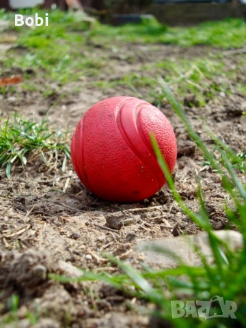 Sony Cyber-shot DSC-W220 с Carl Zeiss обектив + аксесоари, снимка 8 - Фотоапарати - 53925872