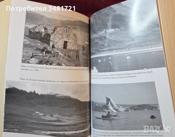 Колапс - как цивилизациите избират да загинат или успеят / Collapse, снимка 9 - Художествена литература - 54243911