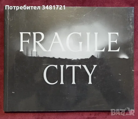 Fragile City визуална история