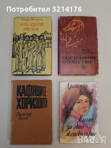 Кафявите хоризонти - Драгомир Асенов