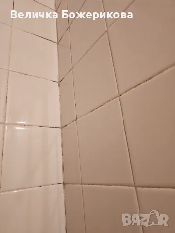 Почистване на домове , снимка 2 - Почистване на домове - 48887963