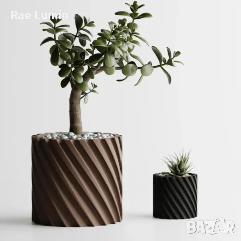 Саксия – елегантност, снимка 1