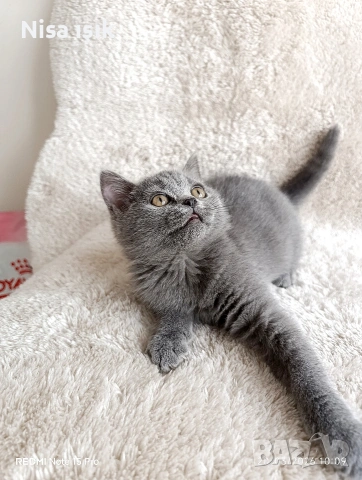 последното момиченце не е красива тя е уникална в Хасково сме