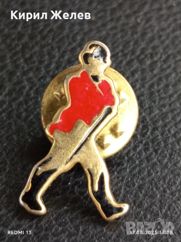 Рядка значка много красива интересна стара за КОЛЕКЦИЯ ДЕКОРАЦИЯ 35129