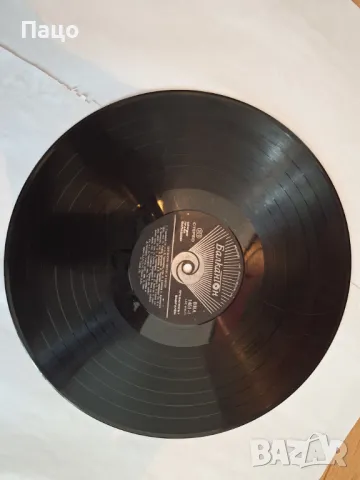 ЦИГАНСКИ ПЕСНИ И ТАНЦИ, снимка 3 - Грамофонни плочи - 48961466