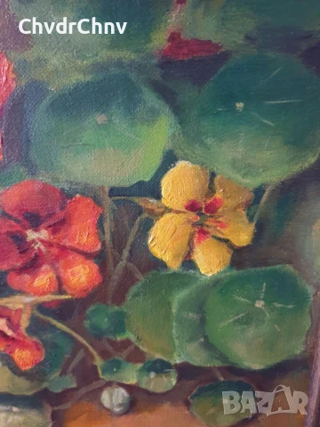 45х38см/малка картина масло върху платно/натюрморт цветя/латинки/1982/дървена рамка, снимка 3 - Картини - 51214989