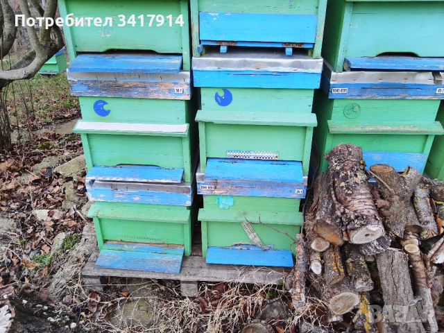 пчелни кошери с магазини, снимка 2 - За пчели - 44925957