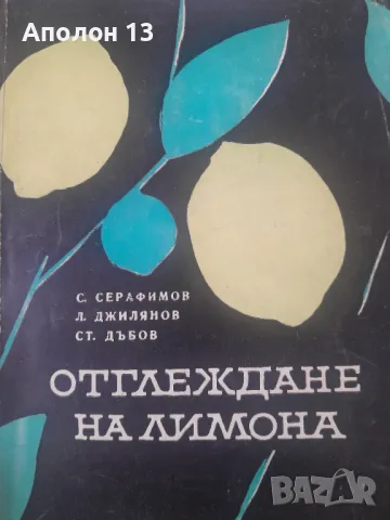 Отглеждане на лимонаС. Серафимов, Л. Джилянов, Ст. Дъбов, снимка 1 - Други - 49208915