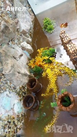 Аквариум за рибки 