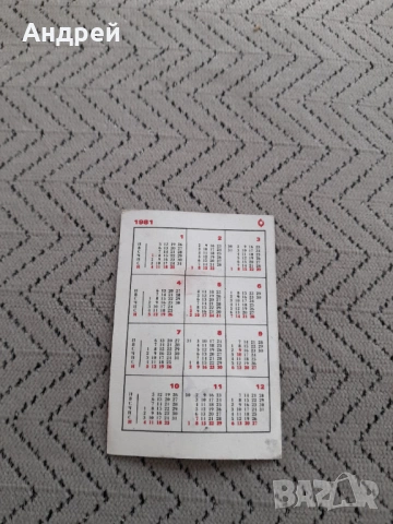Календарче Блрс 1981 #2, снимка 2 - Колекции - 53205188