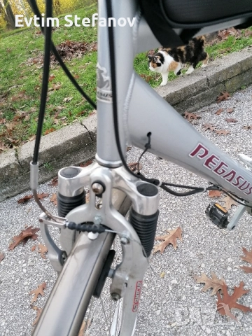 Немски велосипед със седем (вътрешни) скорости, снимка 10 - Велосипеди - 52747278