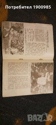 Програма 1975 Левски-Спартак - ЦСКА-Септемврийско Знаме , снимка 2 - Колекции - 54322452