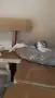 Котета 3 м. Родени 17.7, снимка 1