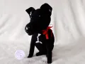 Декоративно черно кученце, снимка 5