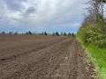 Земеделска земя до Цимерман, снимка 1
