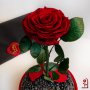 Подарък за Годишнина / Естествена Вечна Роза в Голяма Стъкленица / Оригинален Подарък за Жена, снимка 5