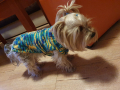 Плетени дрешки за кучета М размер, снимка 6