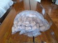 Стари коркови тапи, снимка 1