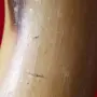 Рог на носорог. Дръжка , снимка 6