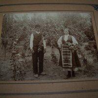 Стара фотография на картон "В градината" 1910г., снимка 3 - Други ценни предмети - 30475285