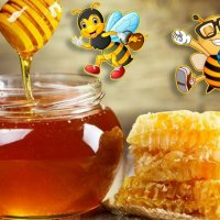 Продавам полифлорен пчелен мед - 8 лв. на буркан с винтова капачка, снимка 1 - Пчелни продукти - 15252670