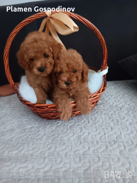 мини момченце и момиче, снимка 1