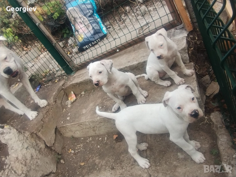 Продавам , снимка 1