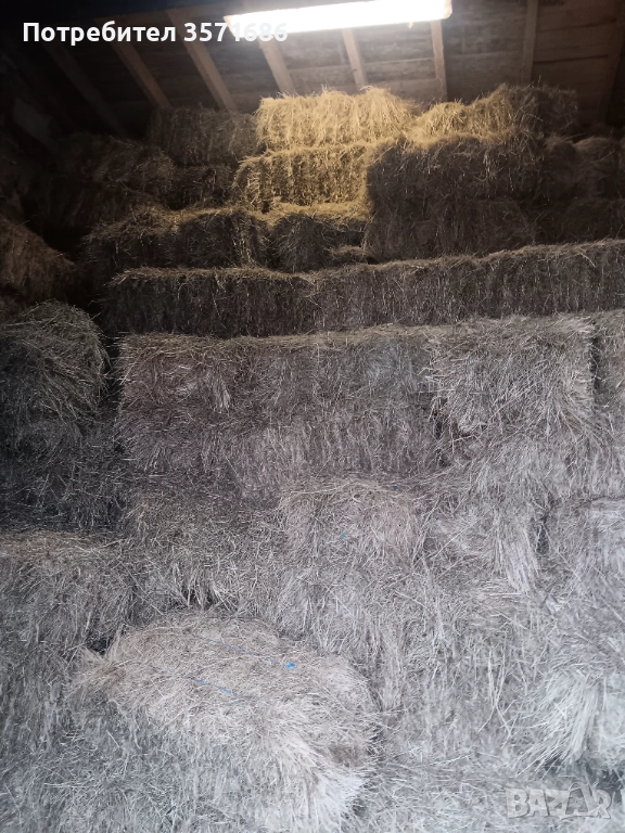 Бали Сено, снимка 1