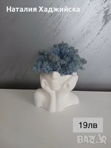 Кашпи със скандинавски мъх – тип „Лице“, снимка 6 - Декорация за дома - 51278821