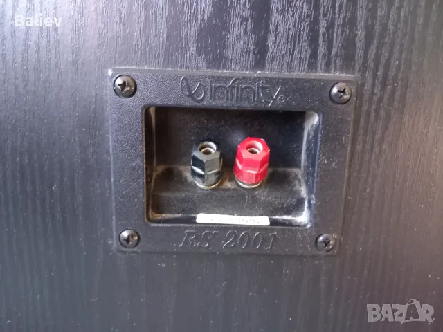 INFINITY RS 2001 тонколони , снимка 9 - Тонколони - 48908201