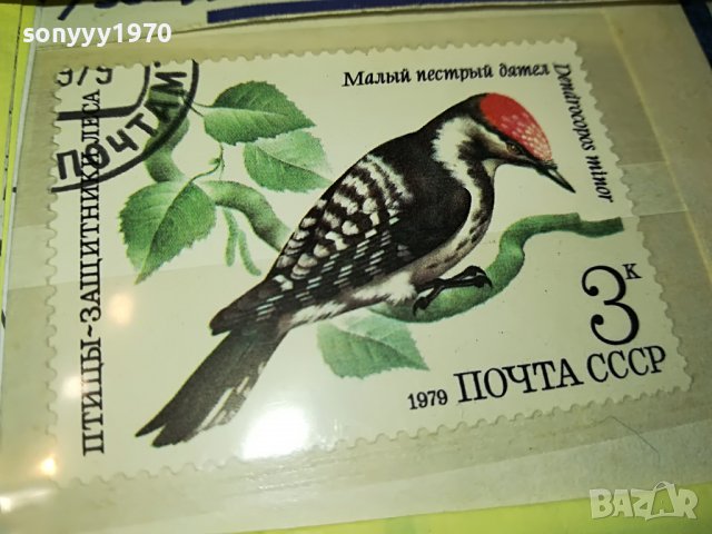 МАРКА 15 1979 СССР 1603231636, снимка 4 - Филателия - 40024353