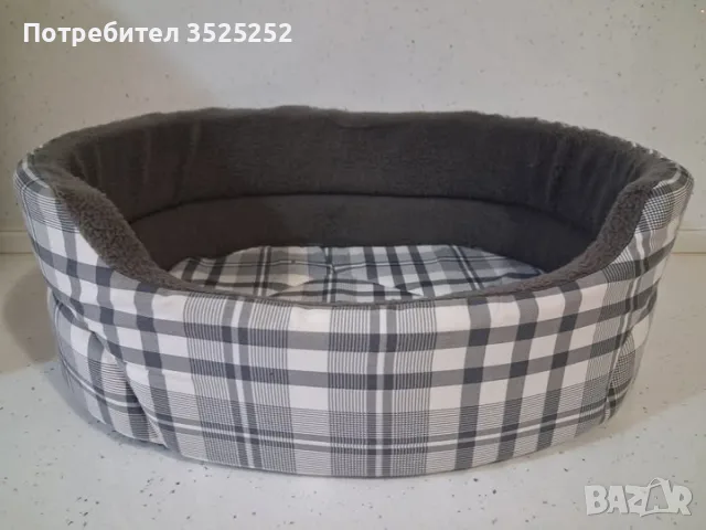 ЧИХОПИНЧЕР  МОМИЧЕ НА 3- М.  С 2- ВАКСИНИ  И ПАСПОРТ !, снимка 8 - Пинчер - 56160461