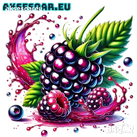 Висококачествени нови семена от хранителна Къпина без бодли Rubus rusticanus 50+ семена антиоксидант, снимка 7 - Сортови семена и луковици - 50332260