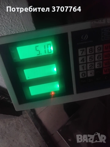 продавам трофей от Благороден Елен , снимка 4 - Декорация за дома - 53749135