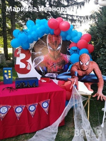 Украса за парти, снимка 7 - Други услуги - 24601688