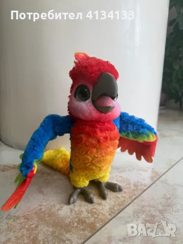 Говорещ, повтарящ папагал 